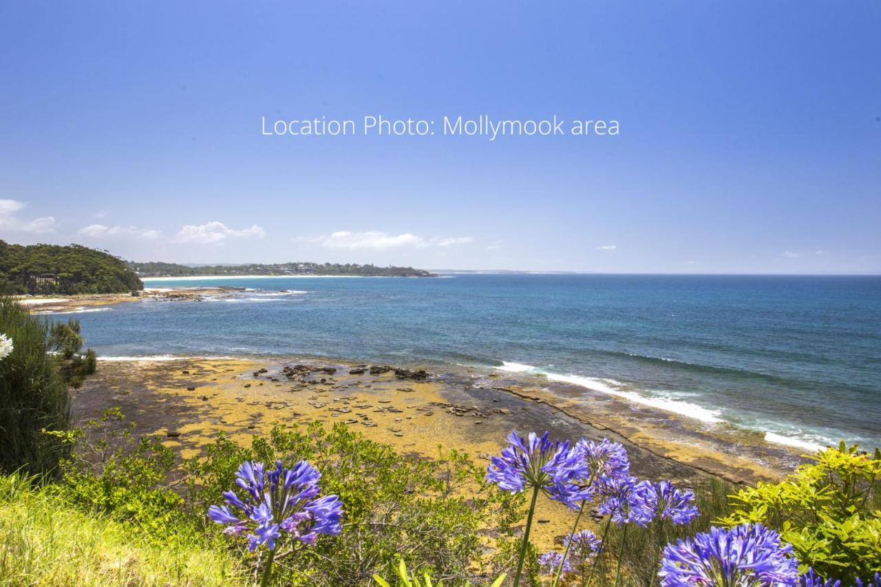 Apartament Perfect Location Near Collers Beach Mollymook Zewnętrze zdjęcie